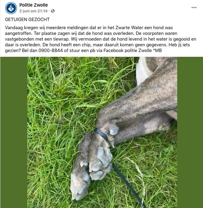 schermafbeelding 2021 06 04 om 102401