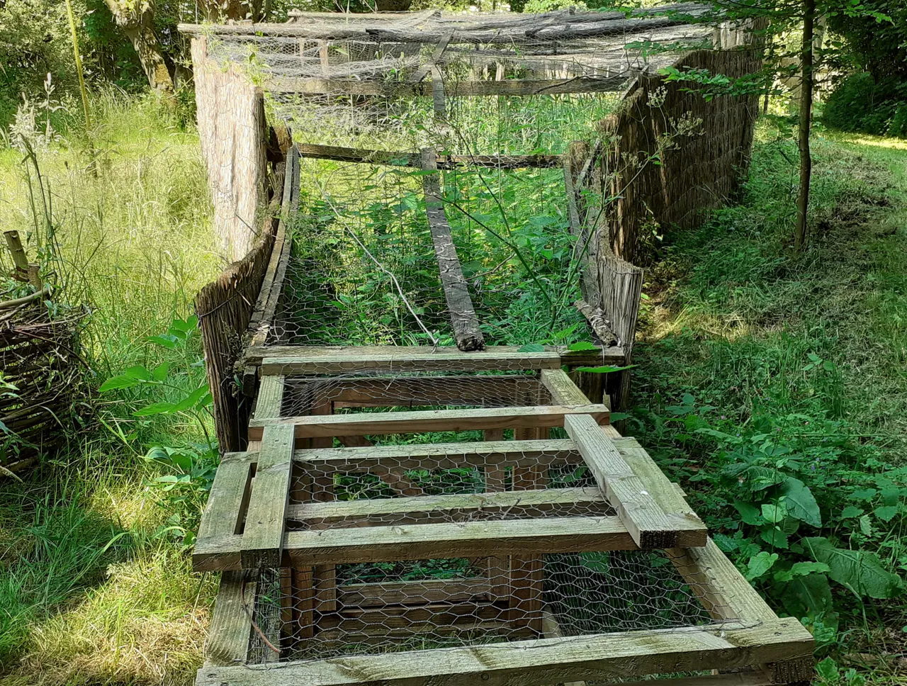 20230605 142456