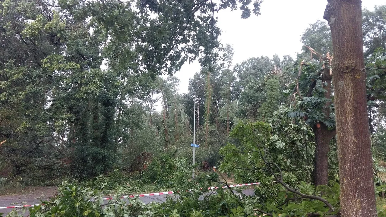 117334774 3552098938154001 4276247107639994810 o