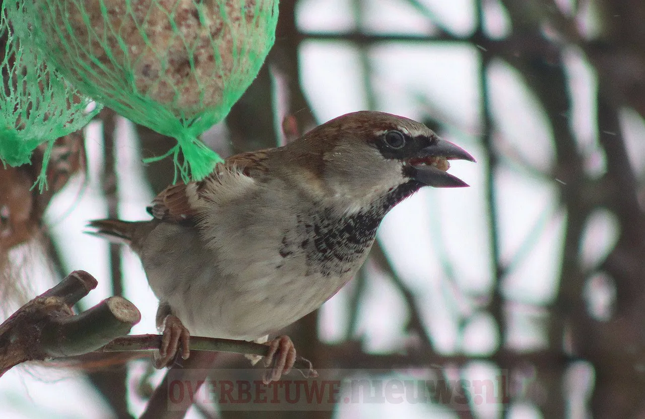 147643196 10218548440168895 4955773909962970998 o