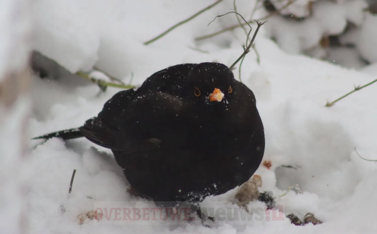 148464451 10218548436768810 3425769936149980066 o