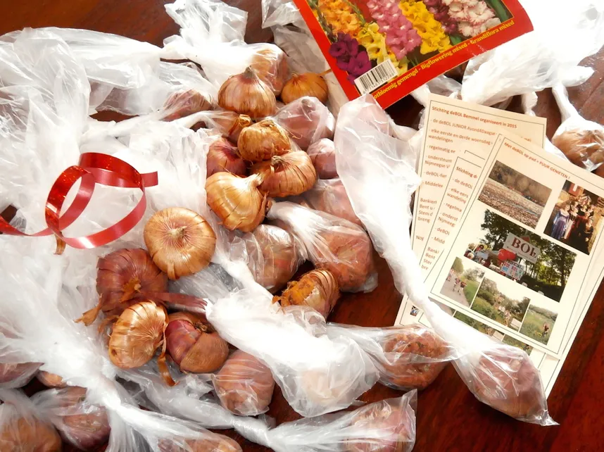 debol clubkascampagne 2015 2