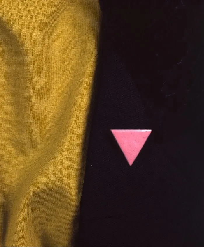 olmroze driehoekjpgmediaclass medium preserve aspect ratio73b0a9d058d2ce02a669caed48379b34985f82c6