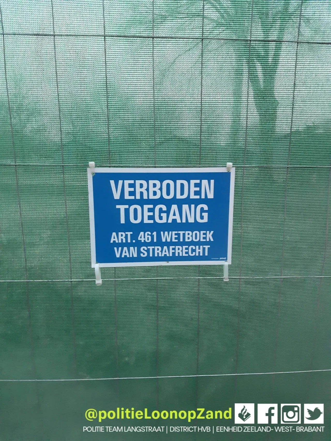 135934423 3386409541487861 2428672182634986287 o