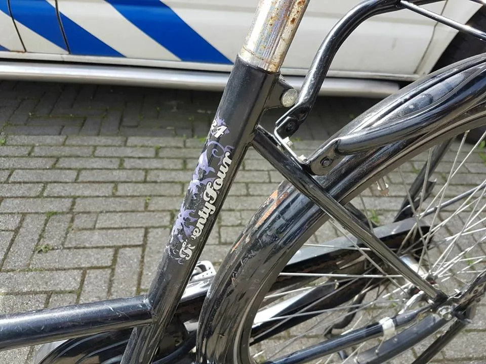 18446651 1802885713360971 2677317140070334476 n