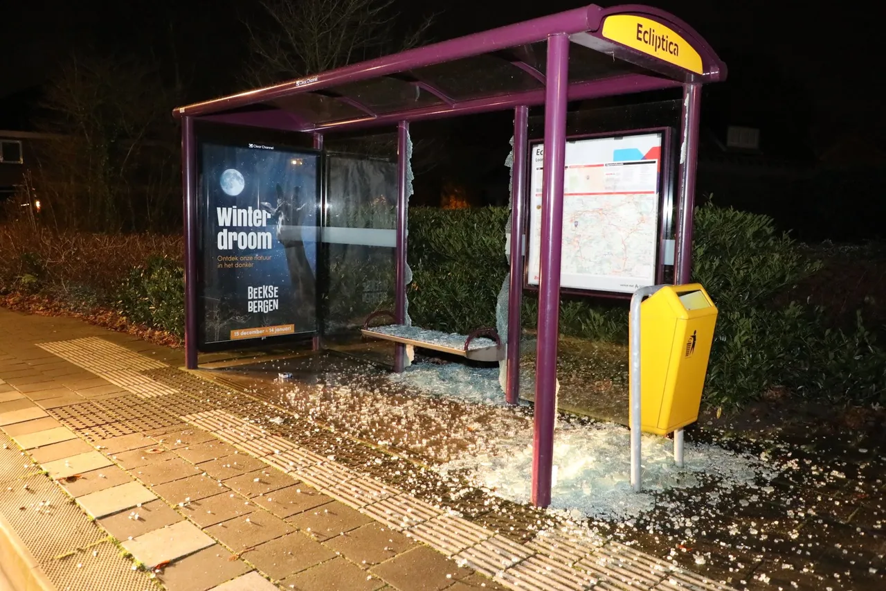 20171230014749 fpmb5486