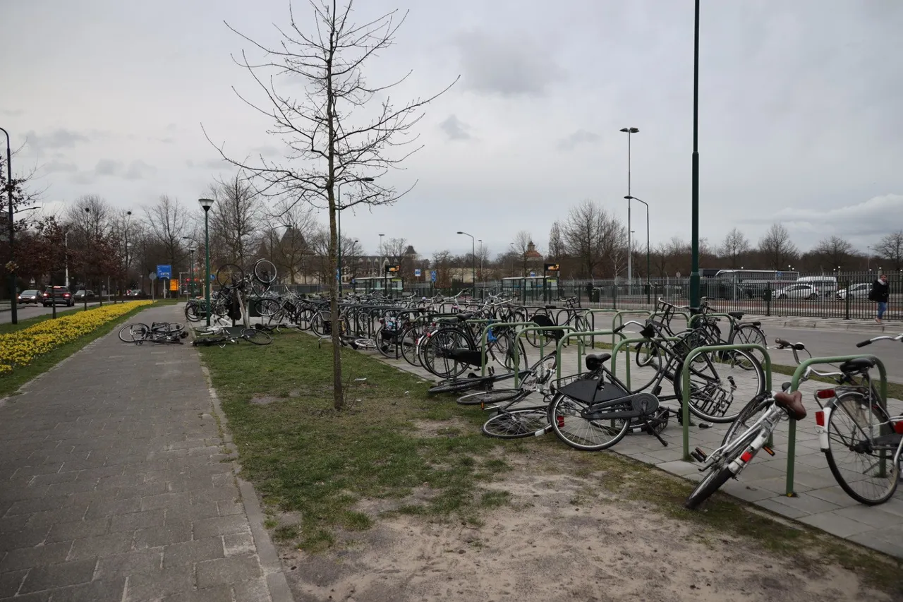 20200225171639 fpmb4086