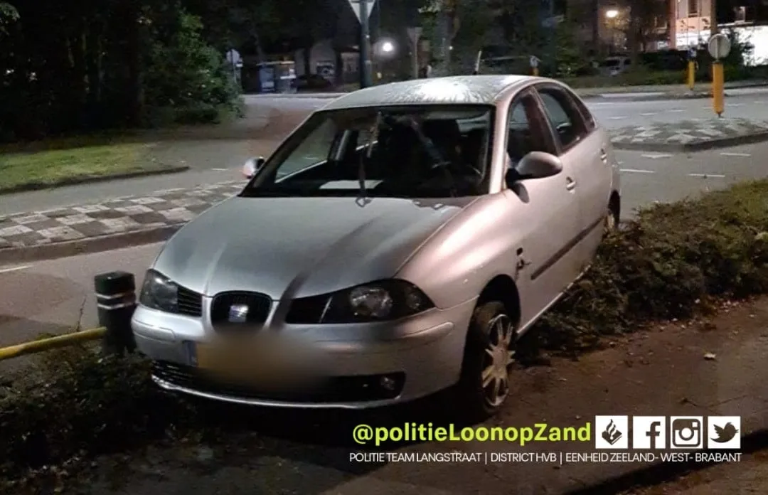 279220476 165668752494339 3206367594376591913 n