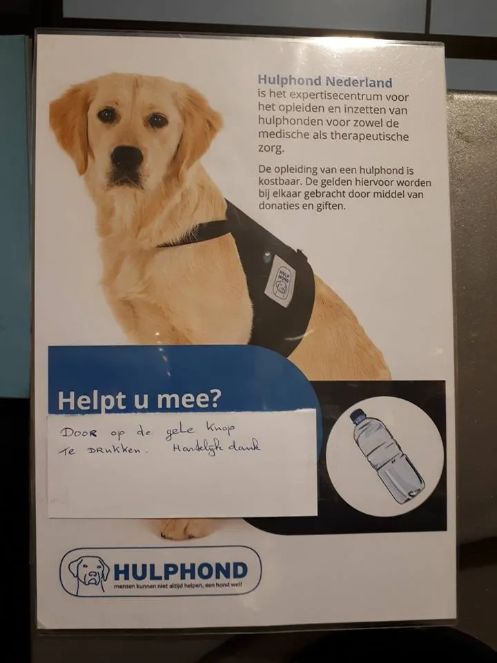 29597393 1478755782253256 4913539998837519217 n