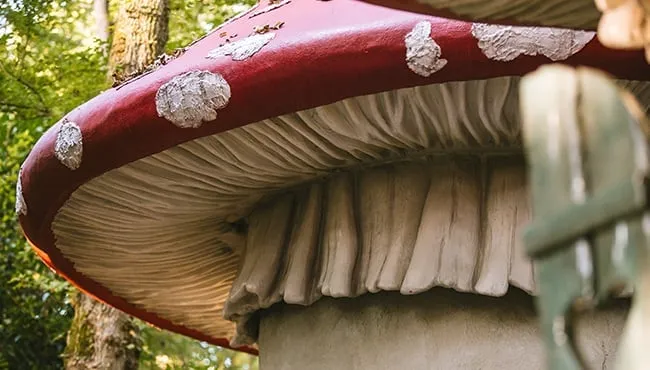 650x370 paddenstoelendorp detail dak