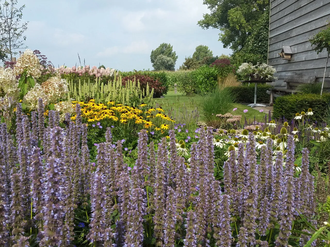 boomkwekerij struijk scaled