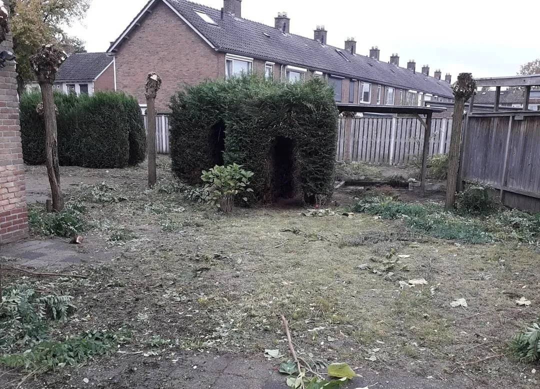 tuin pf