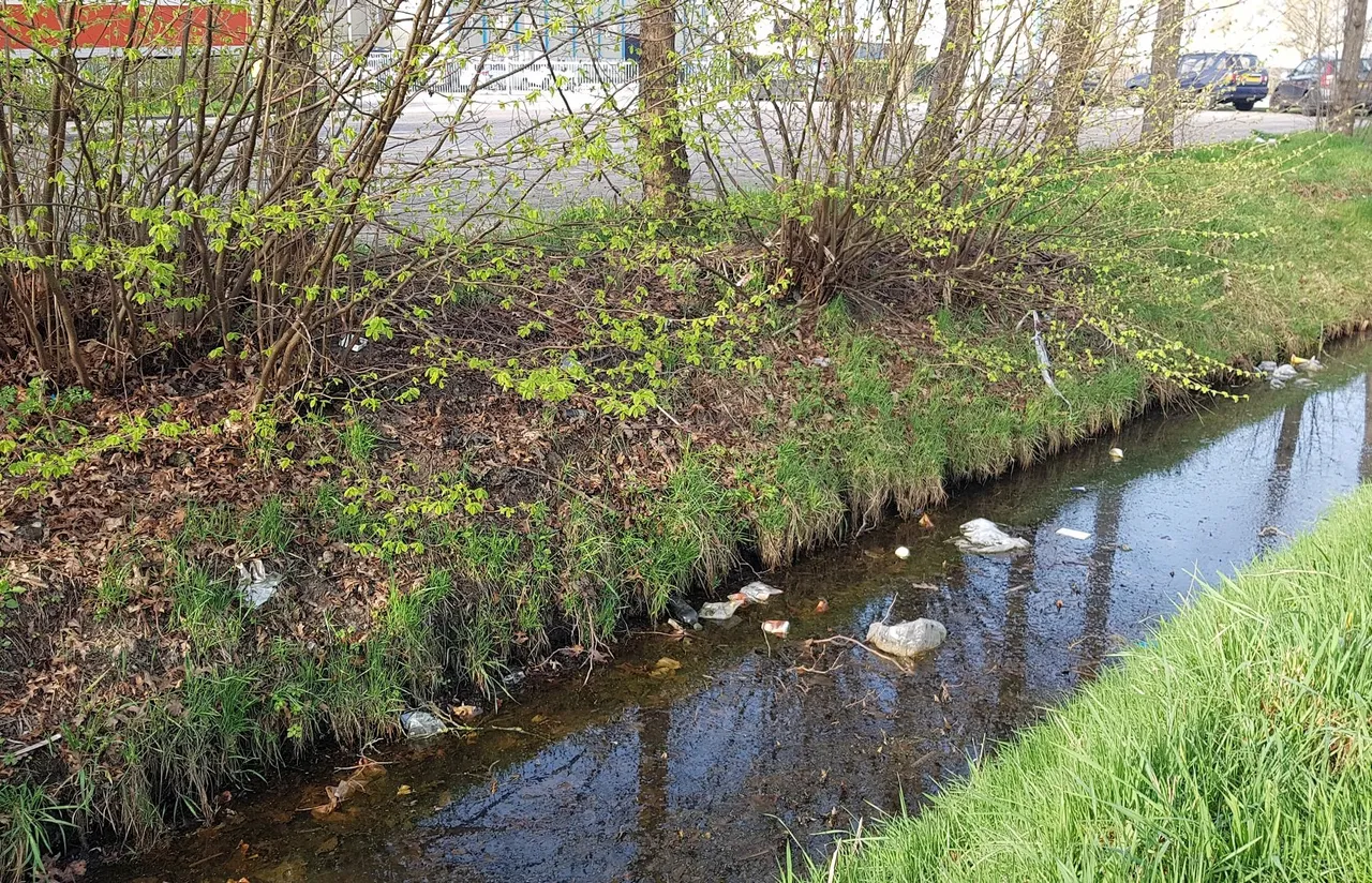 vervuiling in sloten