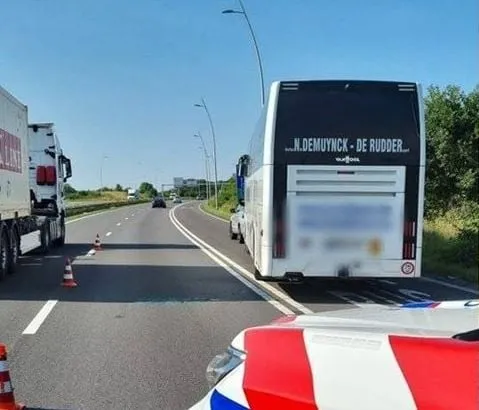bus