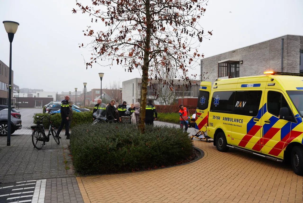 5d68e878-12c7-4d49-854a-a525e36528eb