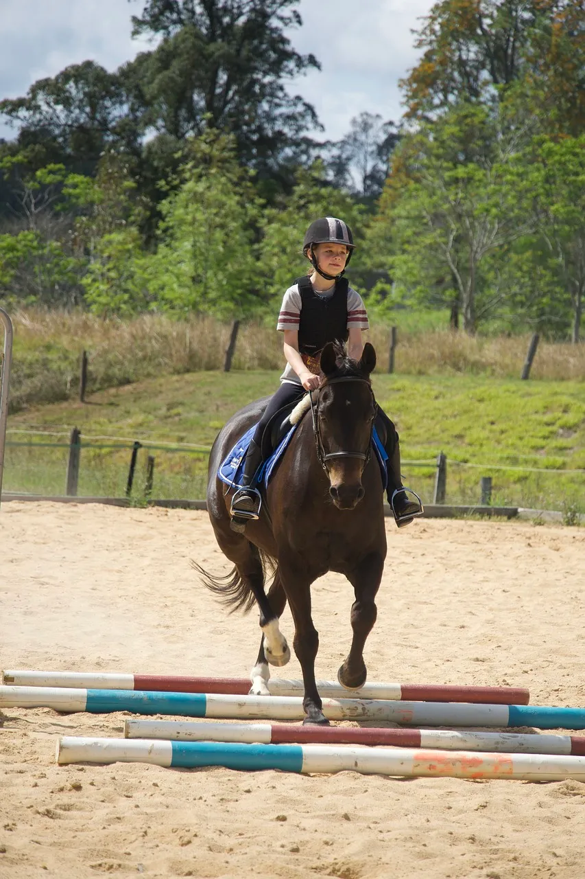 kinderen en paardensport memorycatcher pb