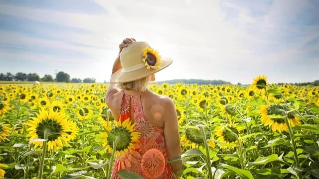 zon woman 3640935 640 px 1