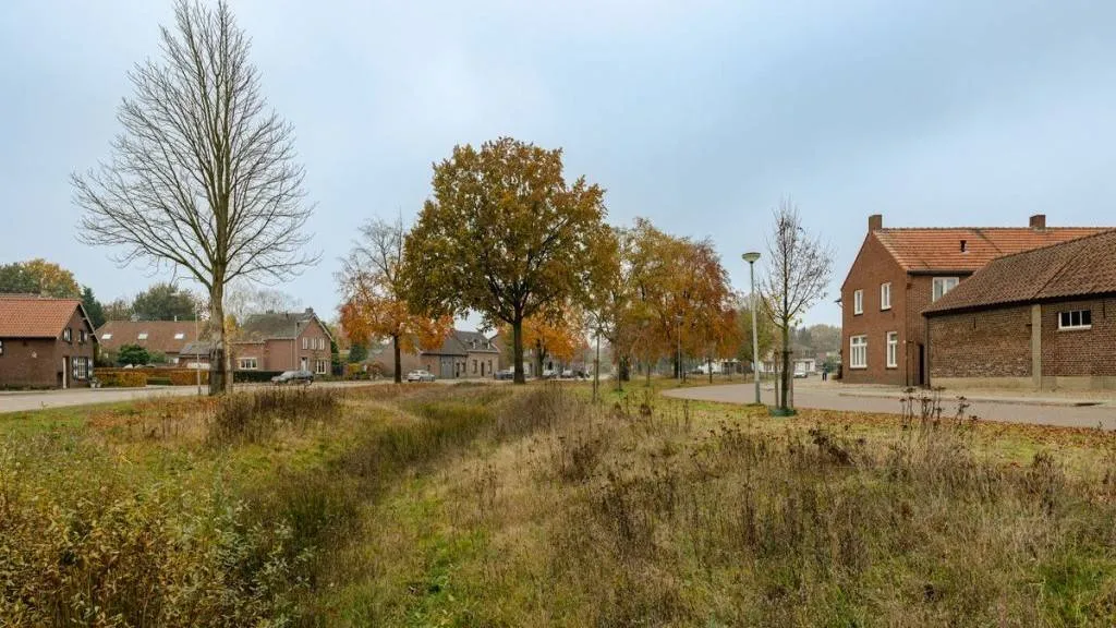 wadi-brachterbeek-1