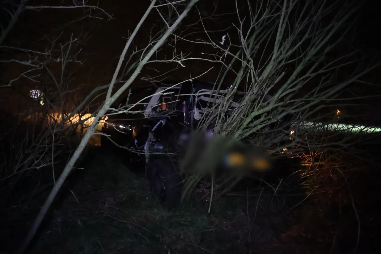 point blur feb222023 083713