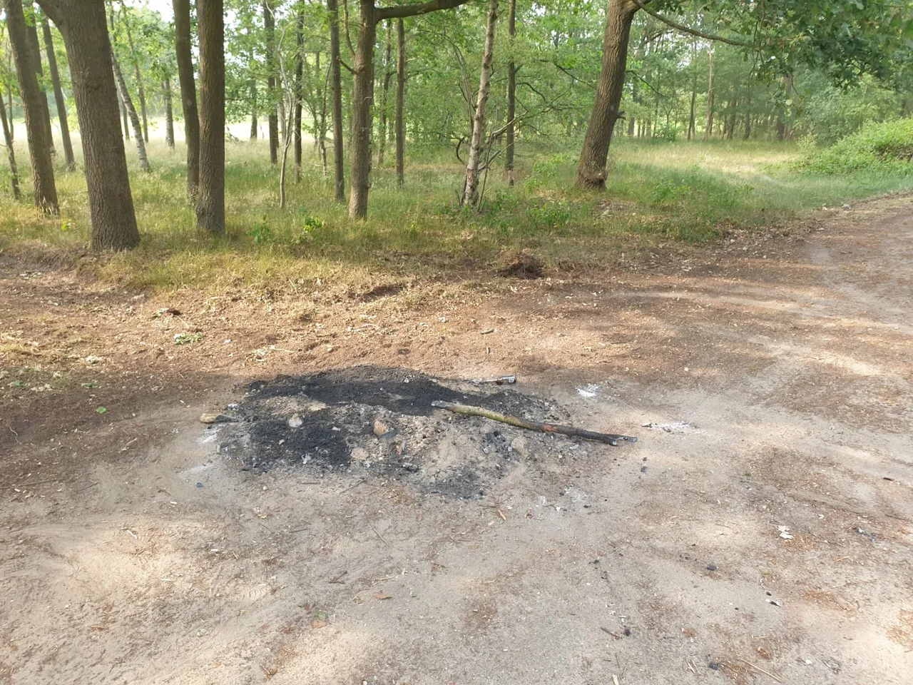 whatsapp image 2020 06 02 at 180146