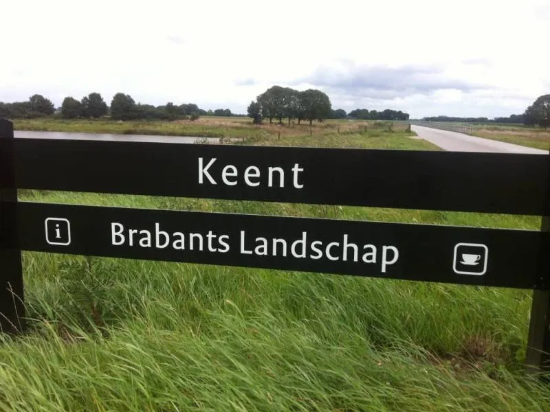 image 4523372 12