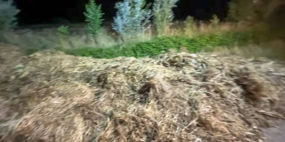 1000056051