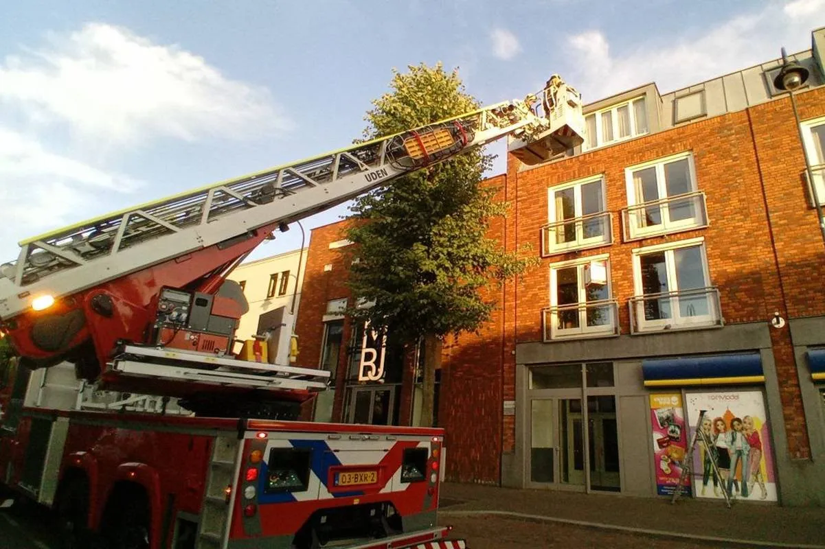 01-08-2025 Dier op hoogte Uden 03