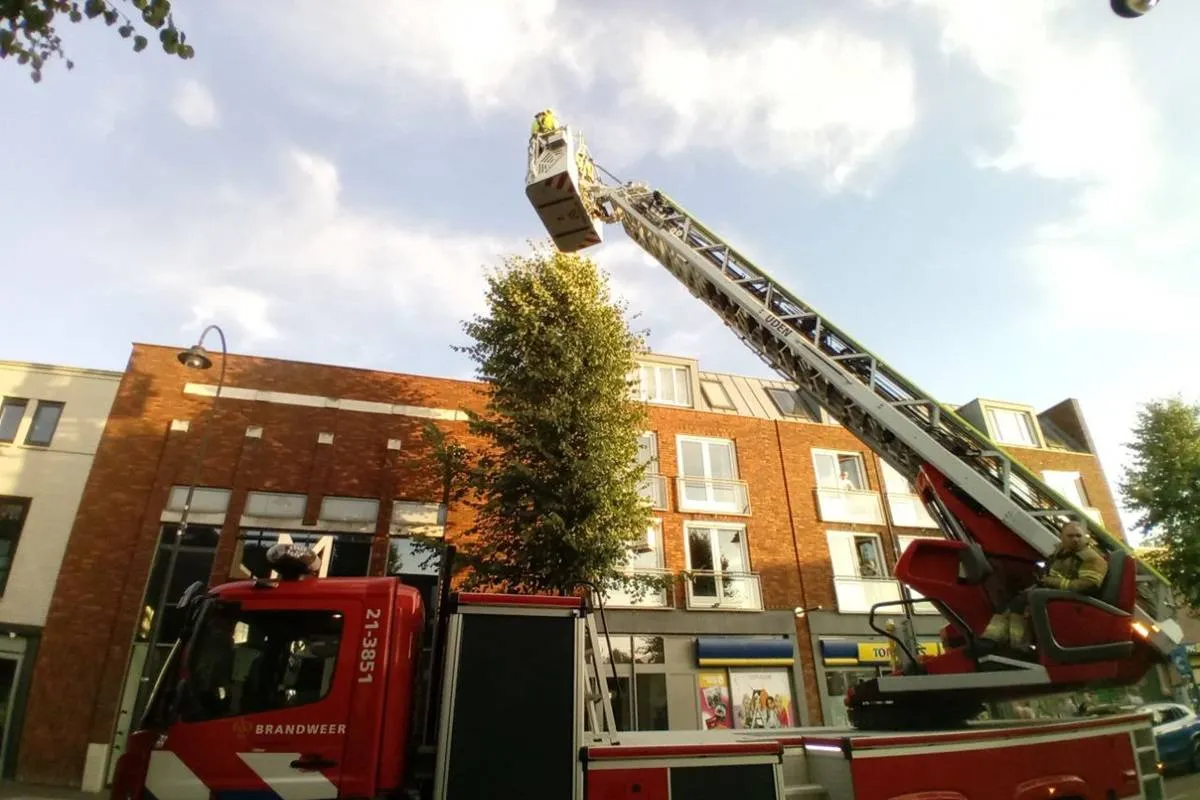 01-08-2025 Dier op hoogte Uden 04