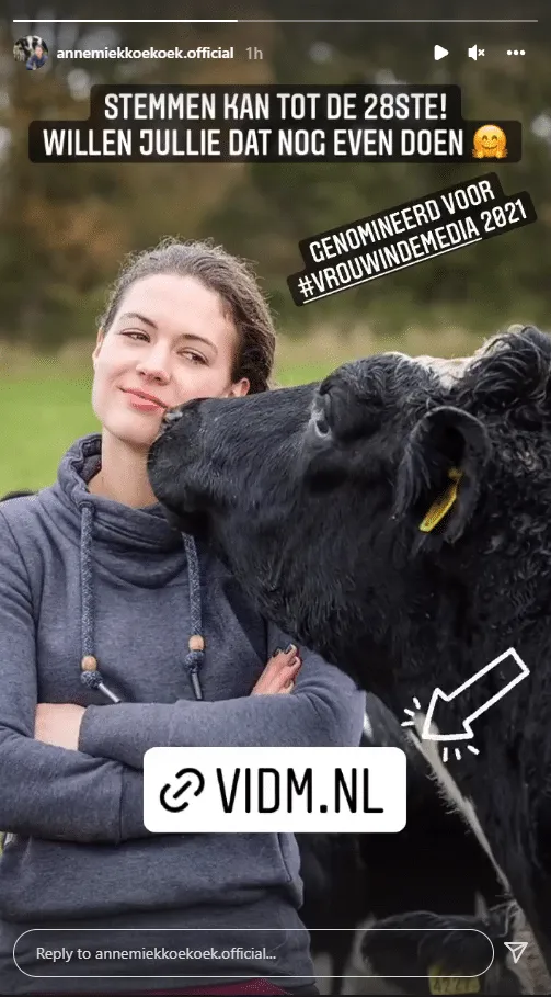 boerin annemiek koekkoek vidm award