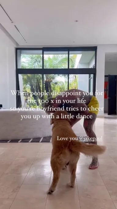 jake paul met hond dans voor jutta