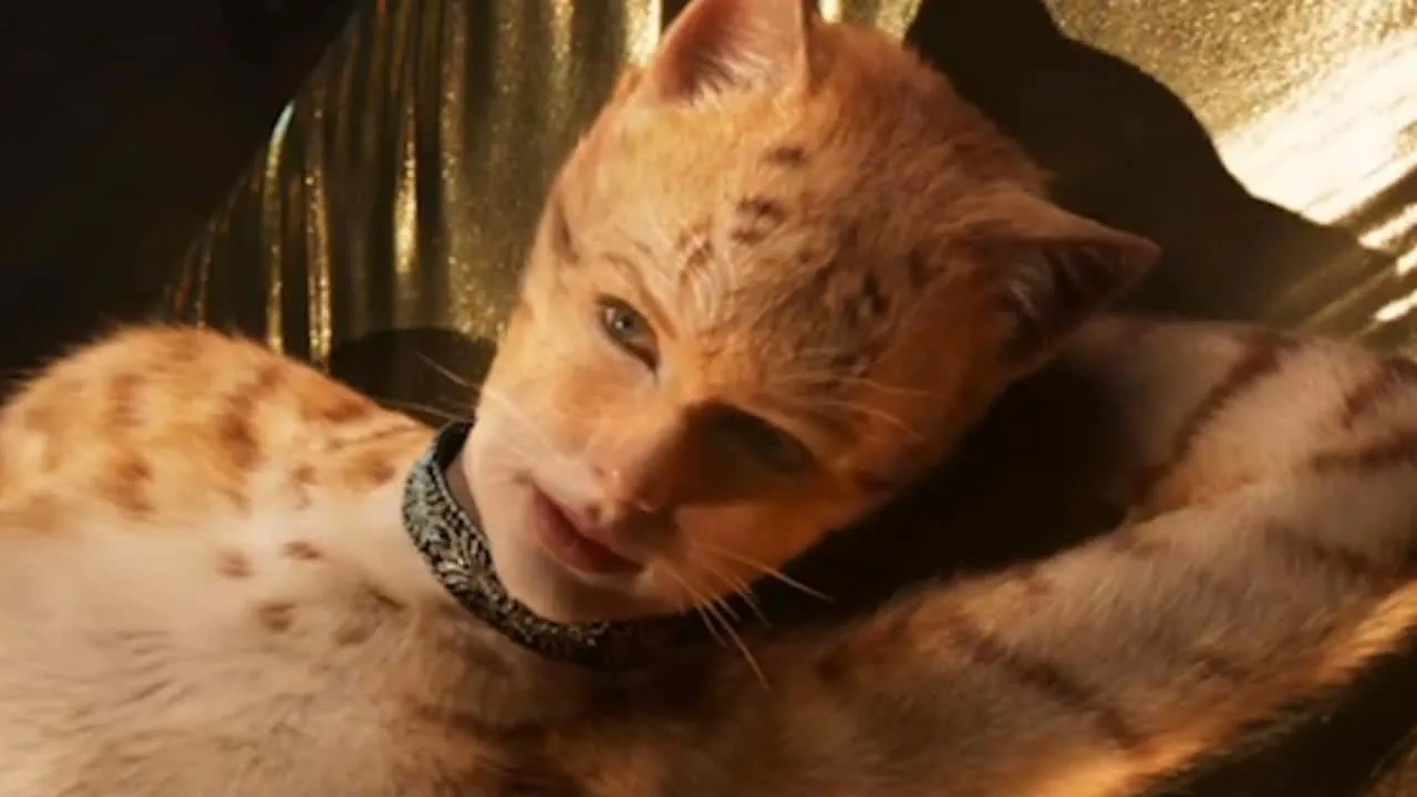 taylorswiftcats