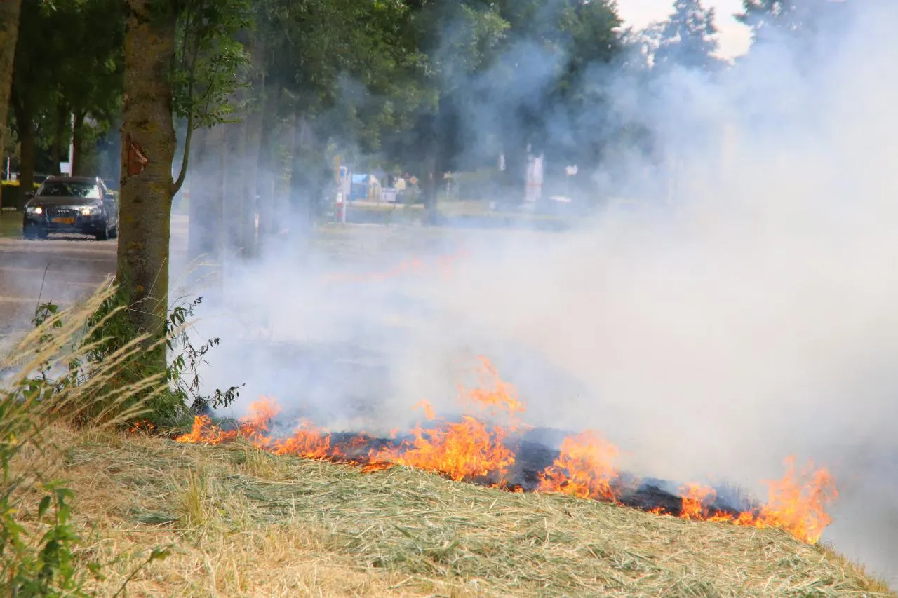 03 07 2019 bermbrand dorshout 01