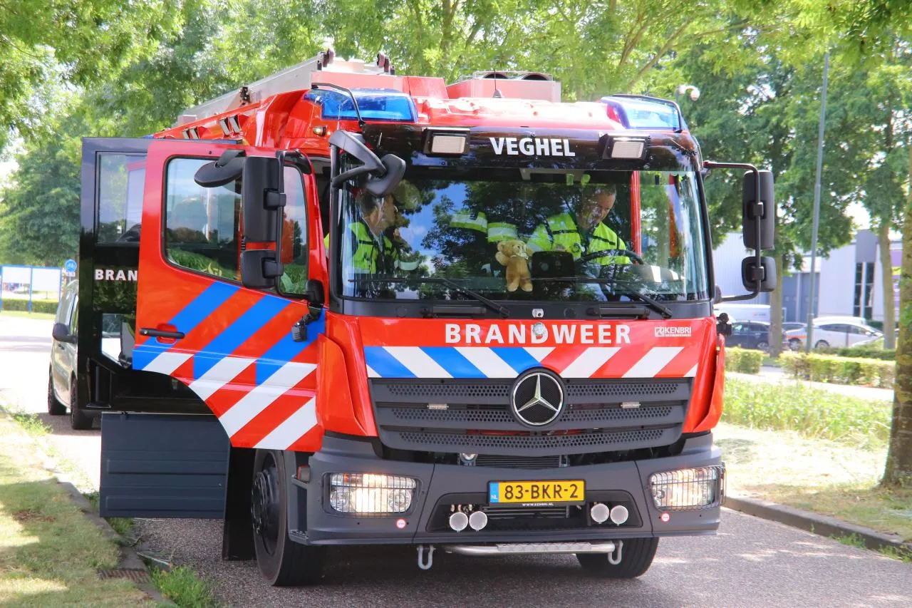 03 07 2019 bermbrand dorshout 03