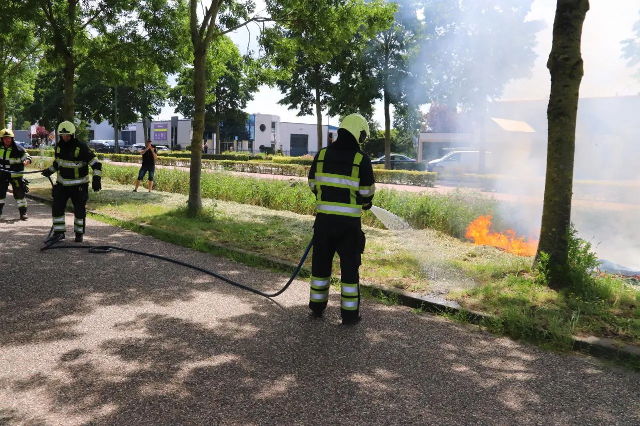 03 07 2019 bermbrand dorshout 04