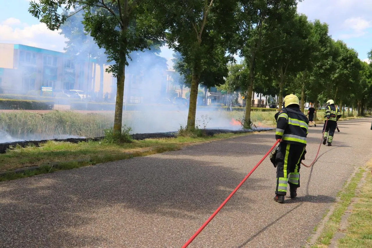 03 07 2019 bermbrand dorshout 06