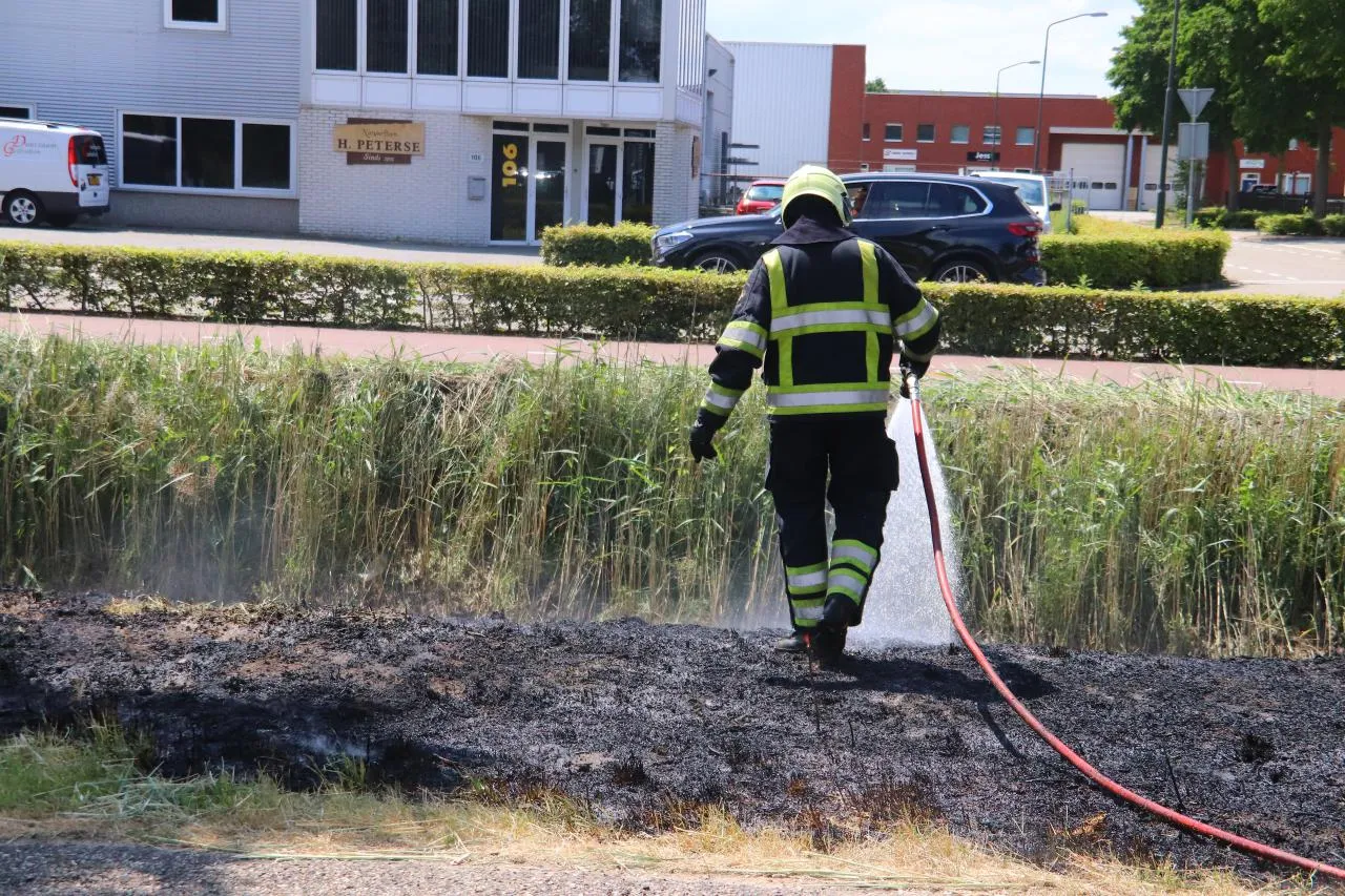 03 07 2019 bermbrand dorshout 07