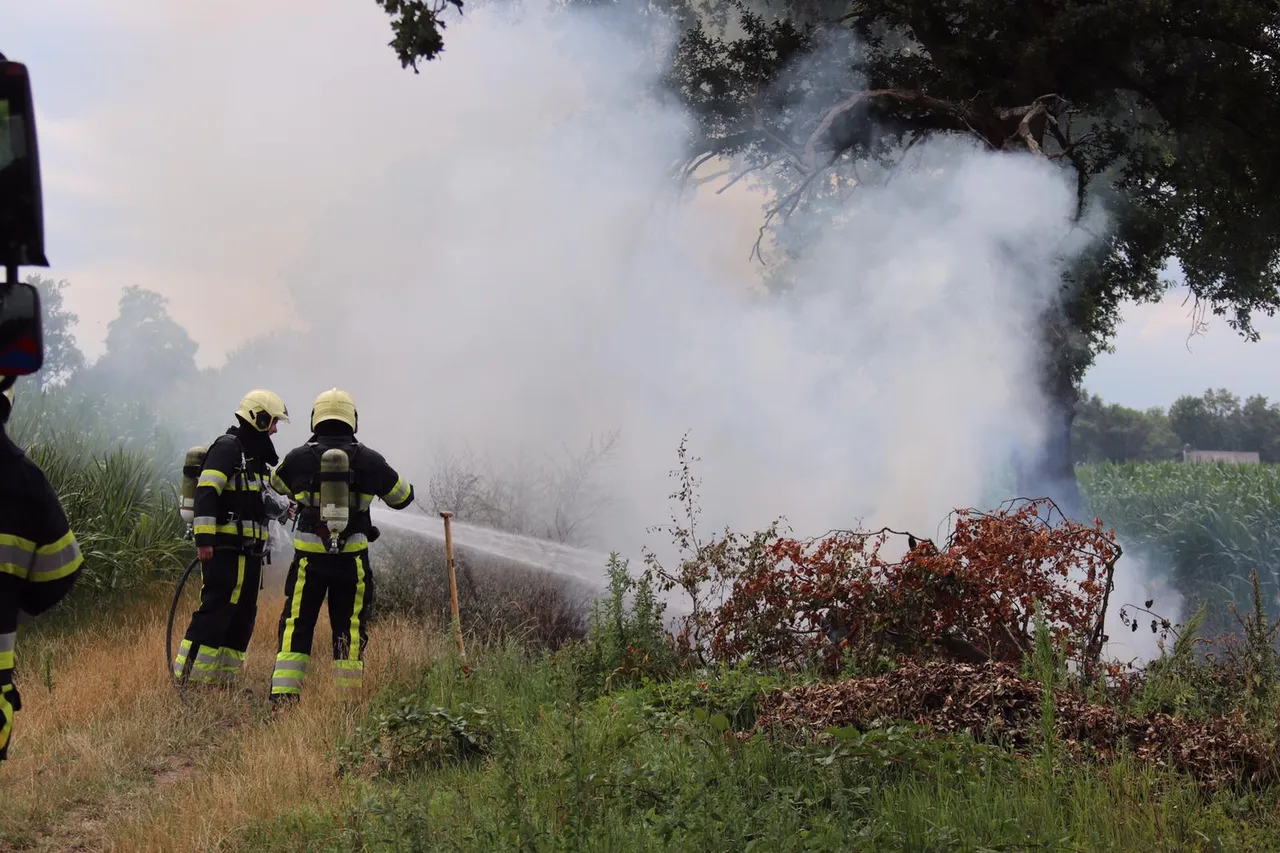 20 07 2019 bermbrand sint oedenrode 04