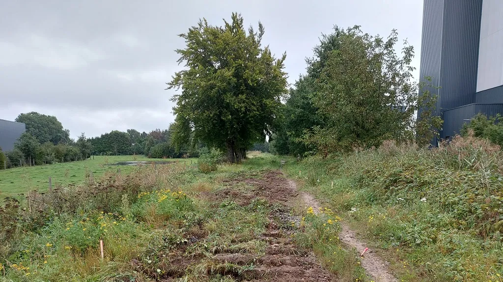 2023 09 24 siemei 04