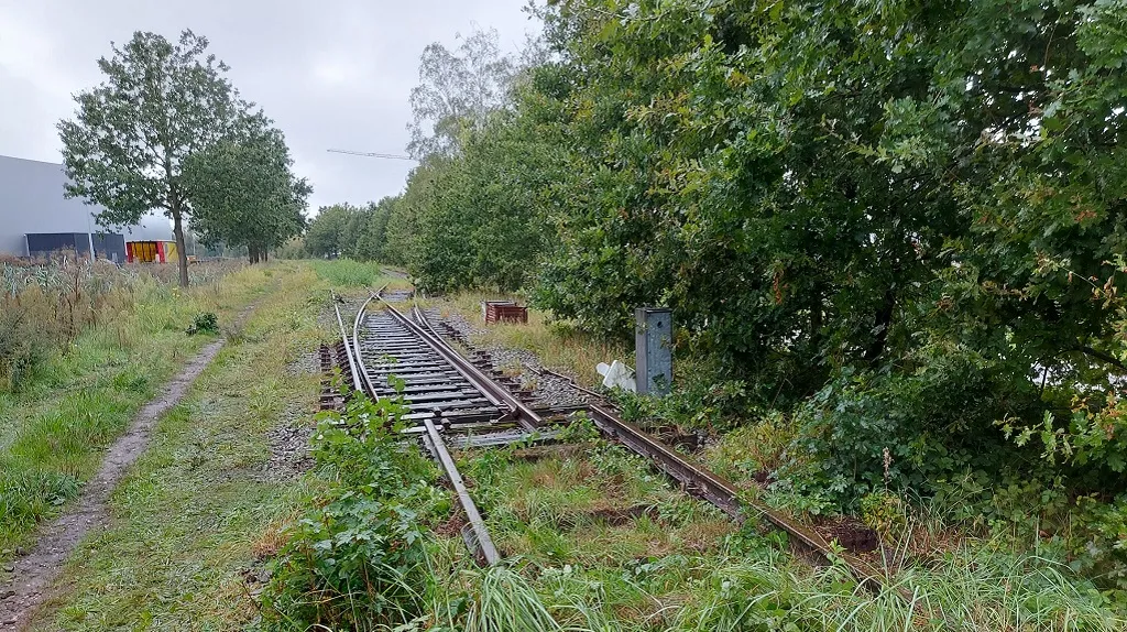 2023 09 24 siemei 06