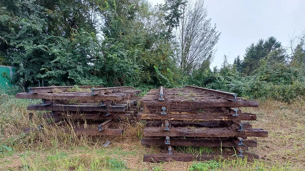 2023 09 24 siemei 07