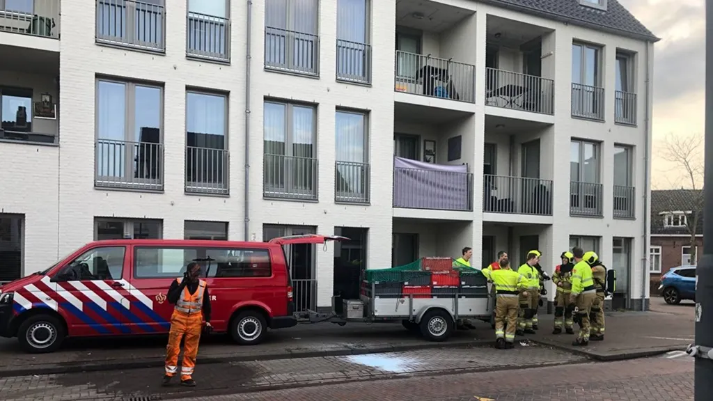 2024 03 19 autobrand 06