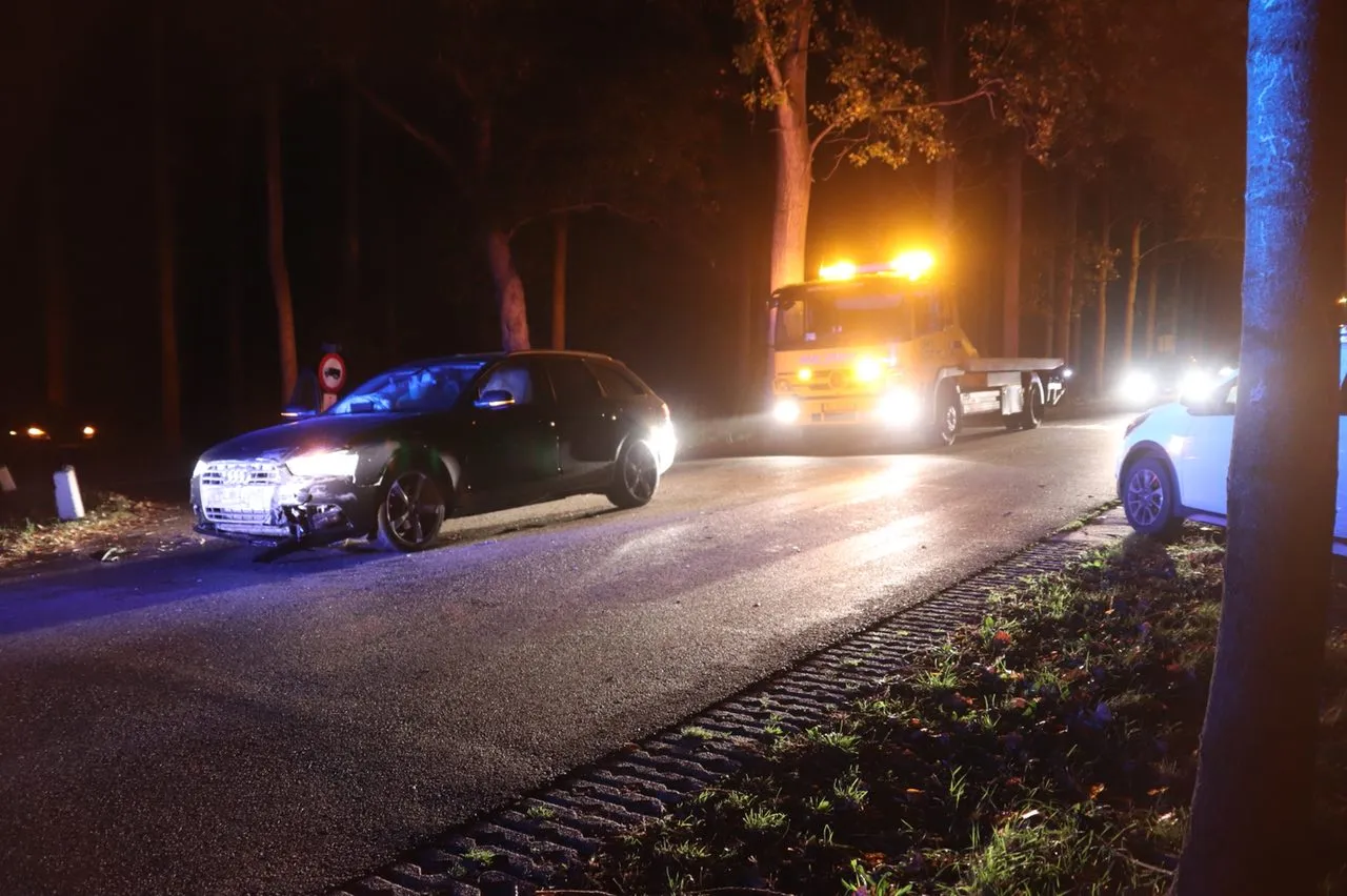 22f0ed18 3dc2 4595 b1ad 279974f50e5b