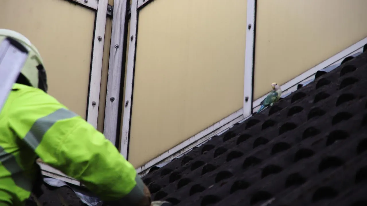 23 08 2020 brandweer veghel 02