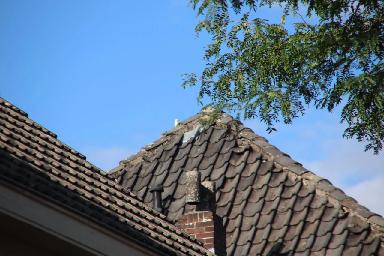 23 08 2020 brandweer veghel 04