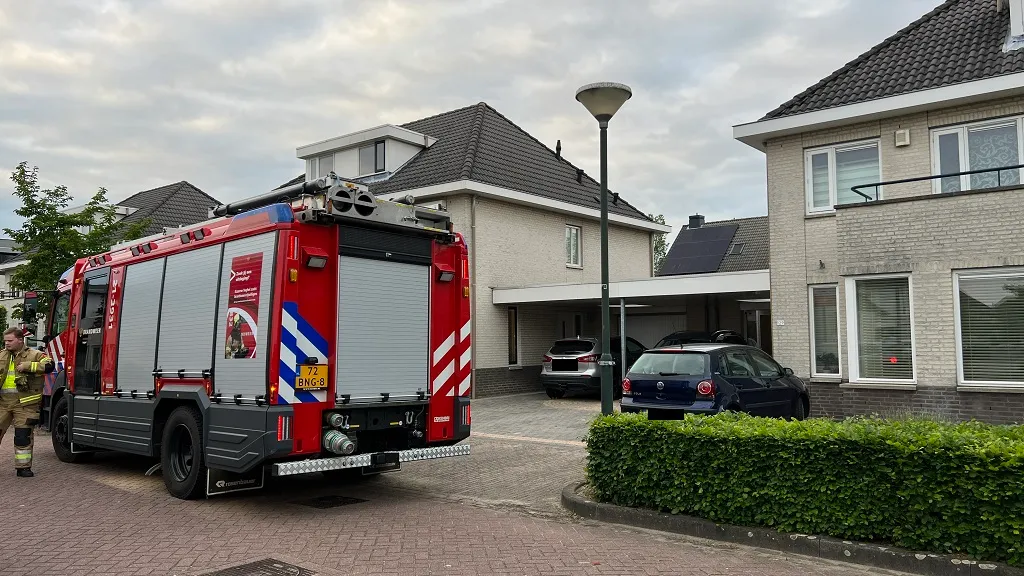 26 05 2022 kat in de problemen 02