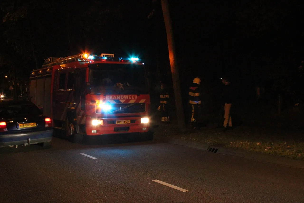 73b43012 ce5a 4fb2 a0c9 f86d9426811b