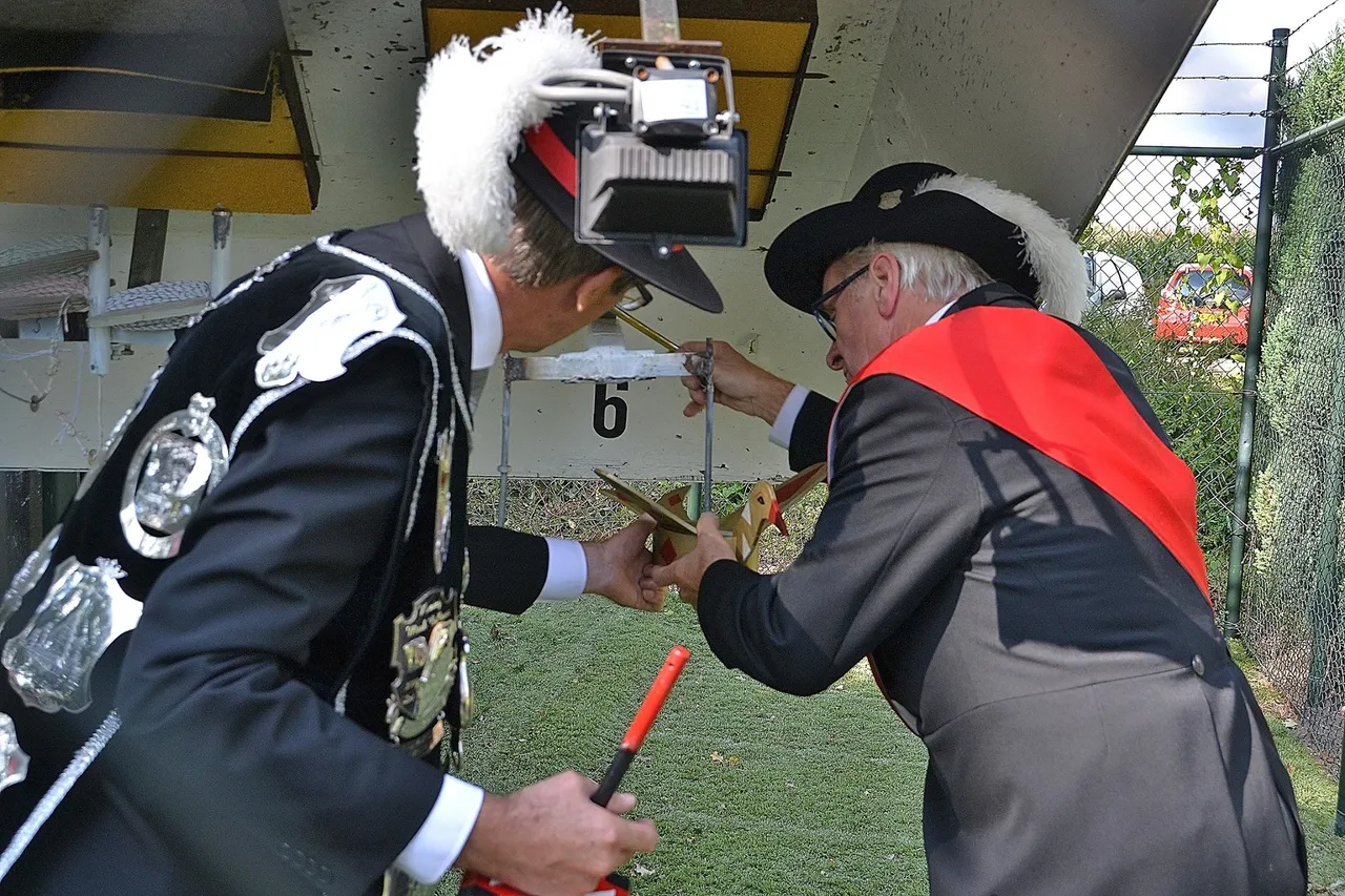 bevestigen van de koningsvogel