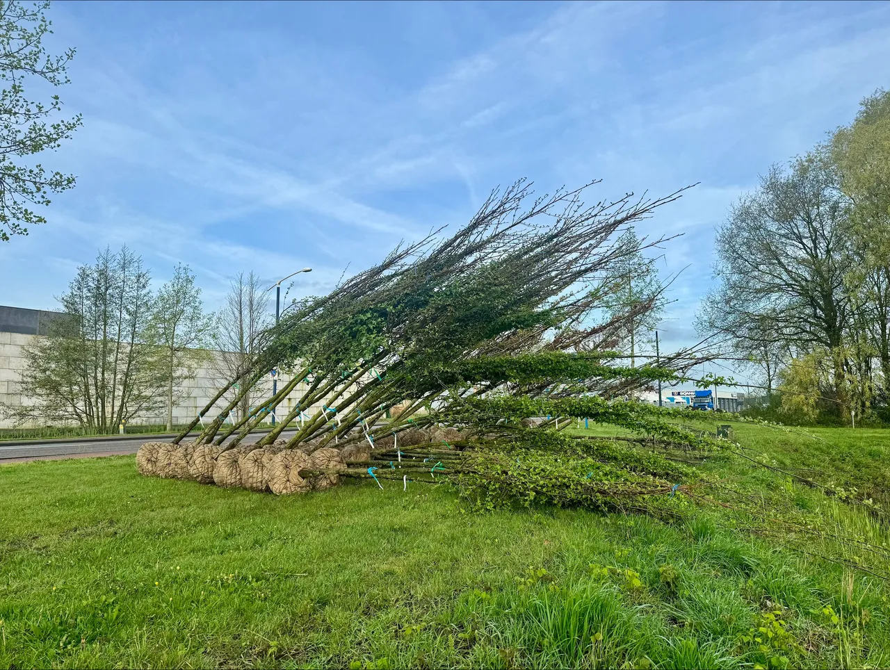 bomen industrieterrein dubbelen