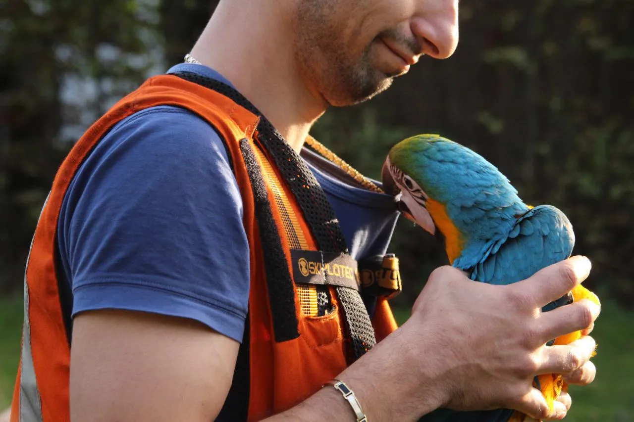 photo 2017 10 16 17 32 56