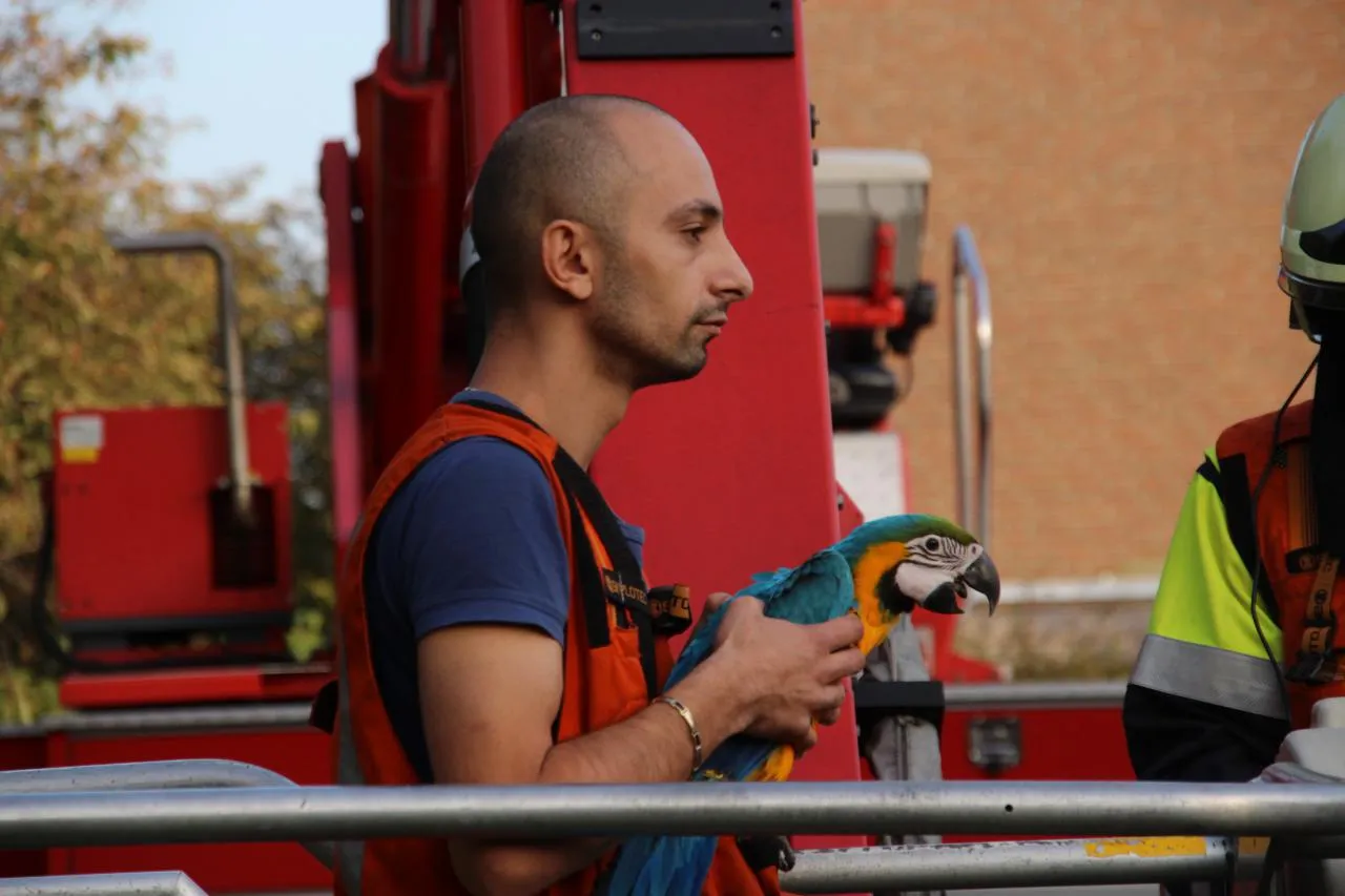 photo 2017 10 16 17 33 02